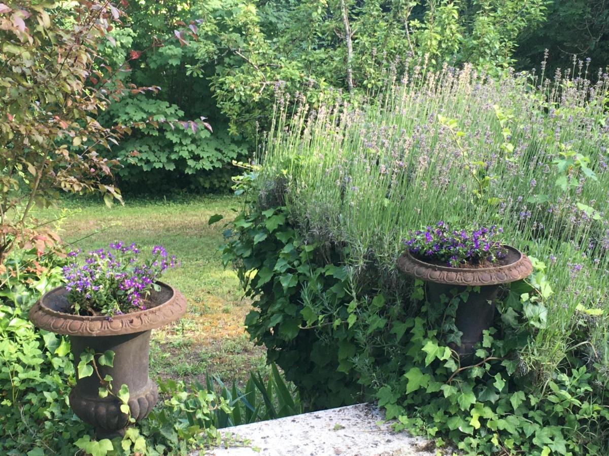 Holiday home Maison Cosy Dans Village Historique *