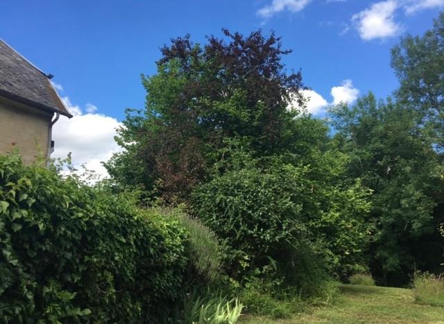 Holiday home Maison Cosy Dans Village Historique Coucy-le-Chateau-Auffrique